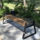 Лава паркова  "Бонго-А"