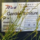 Альтанка, бесідка